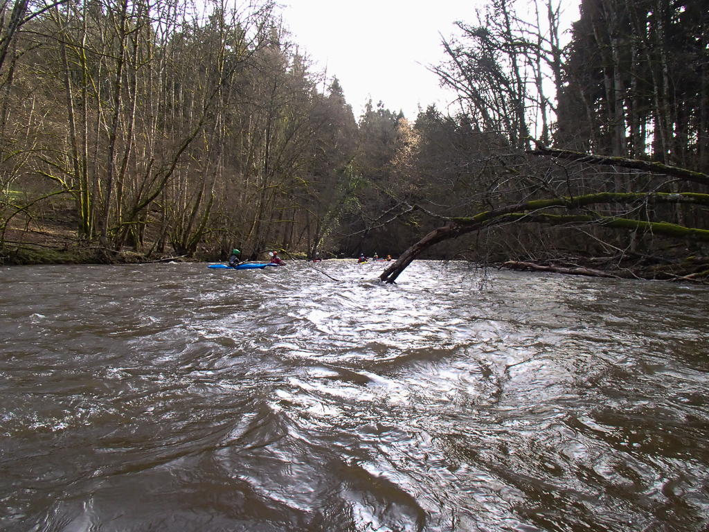 2013-01-31: untere Wutach