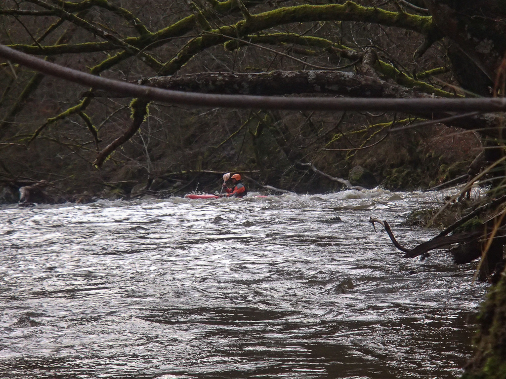 2013-01-31: untere Wutach