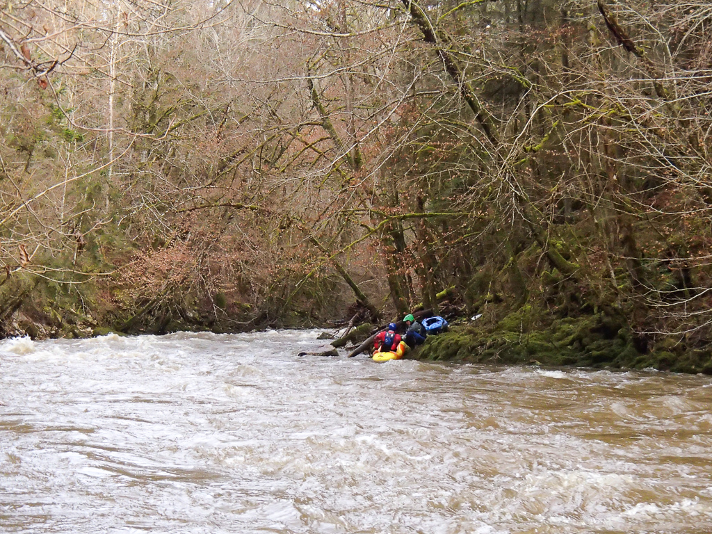 2013-01-31: untere Wutach