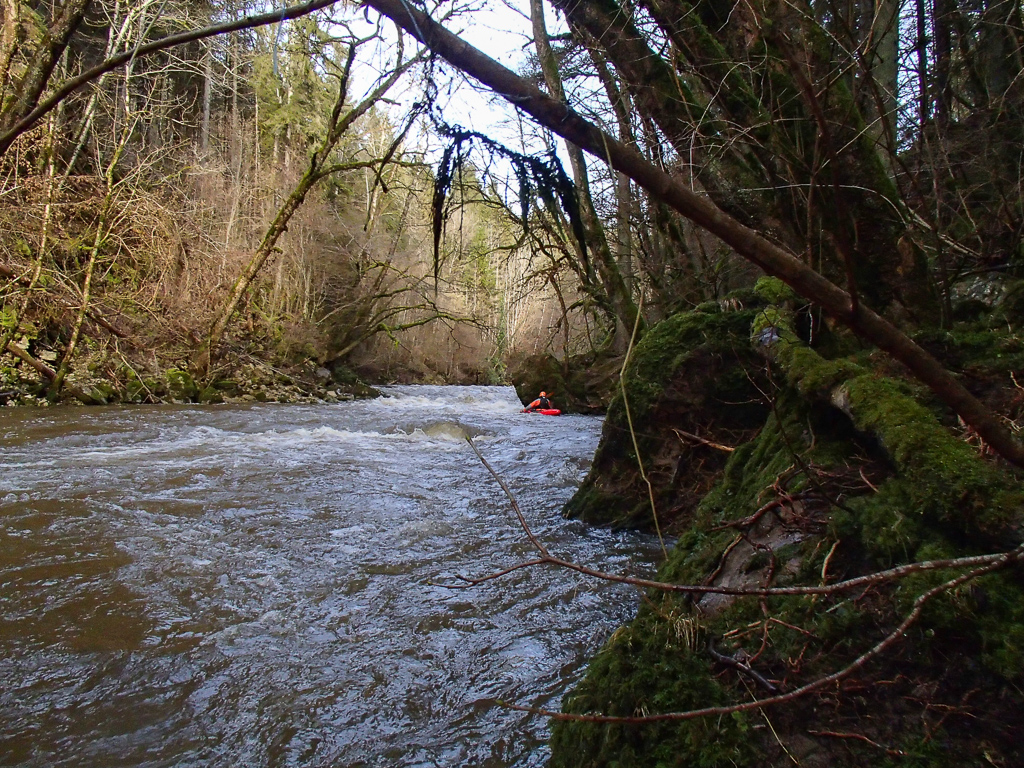 2013-01-31: untere Wutach