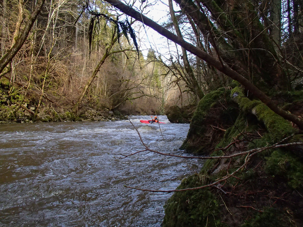 2013-01-31: untere Wutach