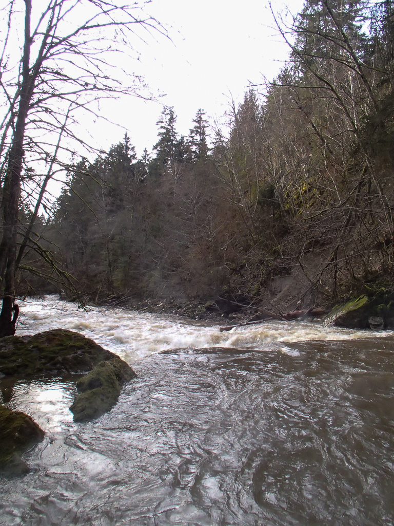 2013-01-31: untere Wutach