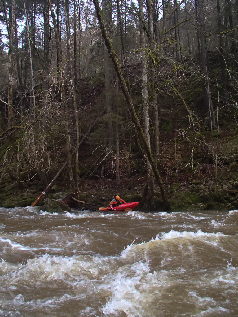 2013-01-31: untere Wutach
