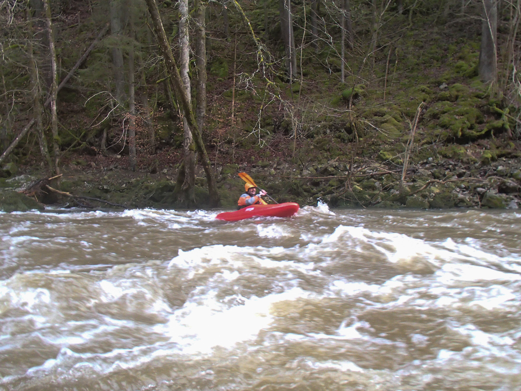 2013-01-31: untere Wutach