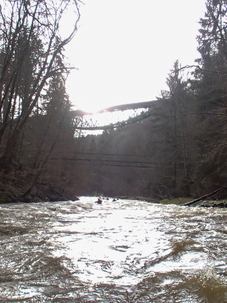 2013-01-31: untere Wutach