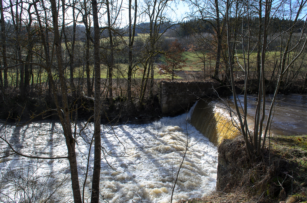 2013-01-31: untere Wutach