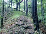 20092009040.jpg