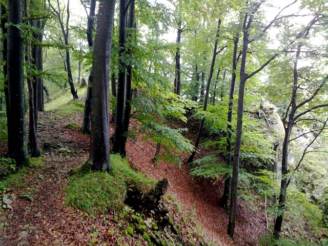 20092009041.jpg