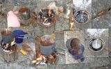 09_Kaffee_Toepfchen_in_Aktion.jpg